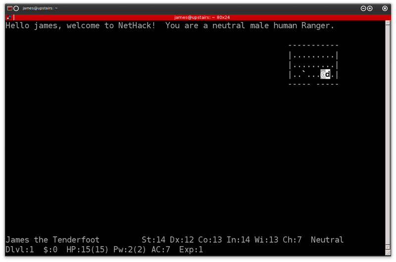 Hello James, welcome to NetHack!  You are a neutral male human Ranger.